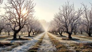 Warum das Düngen Ihrer Obstbäume im Winter die Frühlings- und Sommerernte steigert